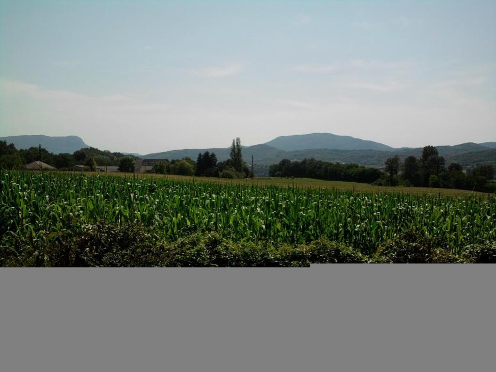 Chambres D'Hotes La Prairie Belley Ruang foto